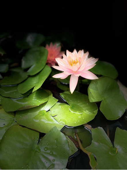 1724985302886218.png 微信圖片_20240830103156.png