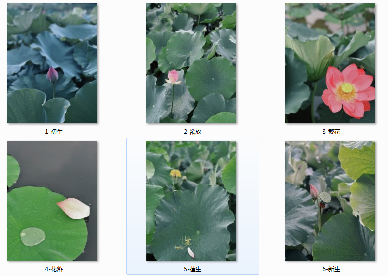 1724985456378783.png 2222.png