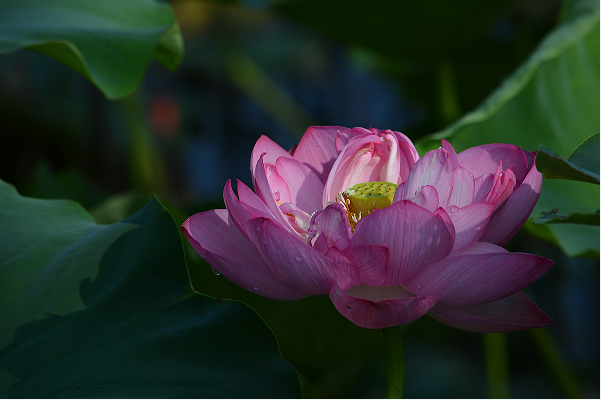 1724985959894111.png 6666.png