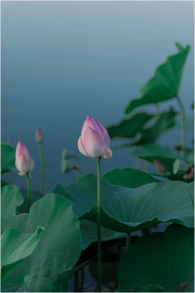 1724986023440614.png 7777.png