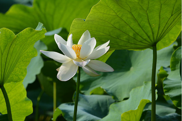 1724986407158370.png 1212121212.png